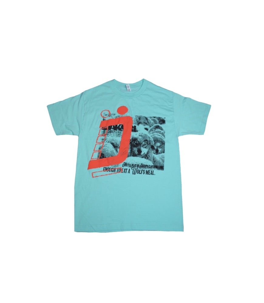Mint “Not what it seems" t-shirt