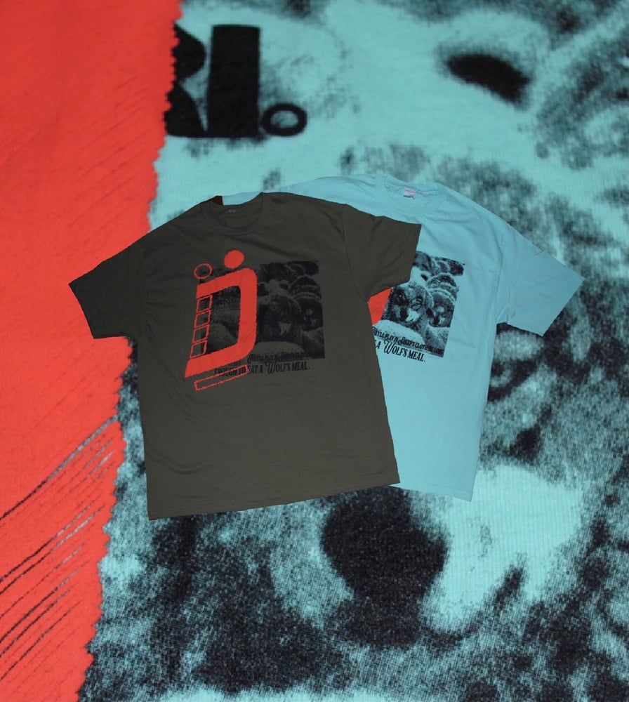 Mint “Not what it seems" t-shirt